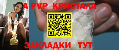 СК Волгодонск