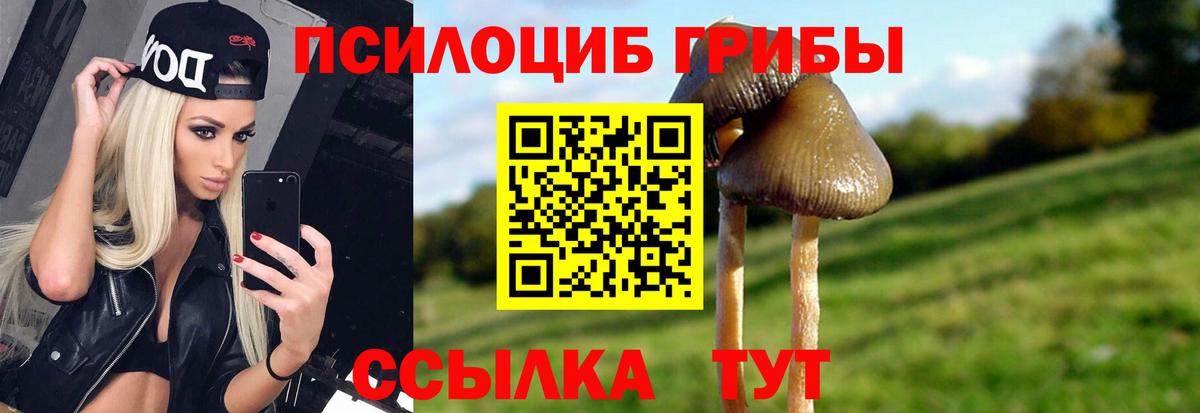 Галлюциногенные грибы Magic Shrooms  Губкин  Галлюциногенные грибы Cubensis 