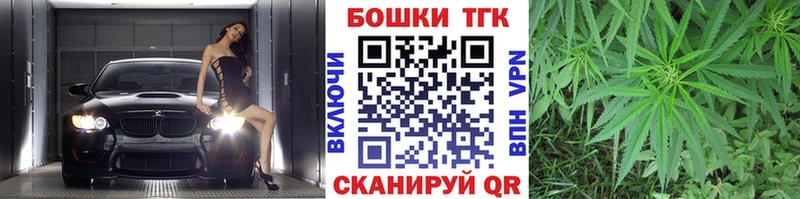 Бошки Шишки тримм  как найти   Губкин 